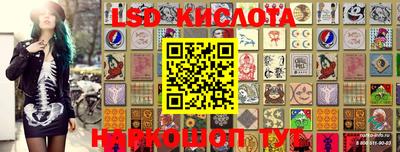 сатива Сланцы