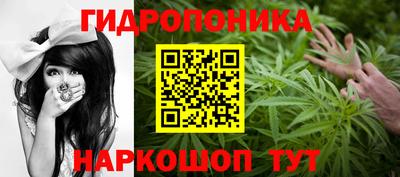 сатива Сланцы