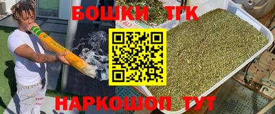 сатива Сланцы
