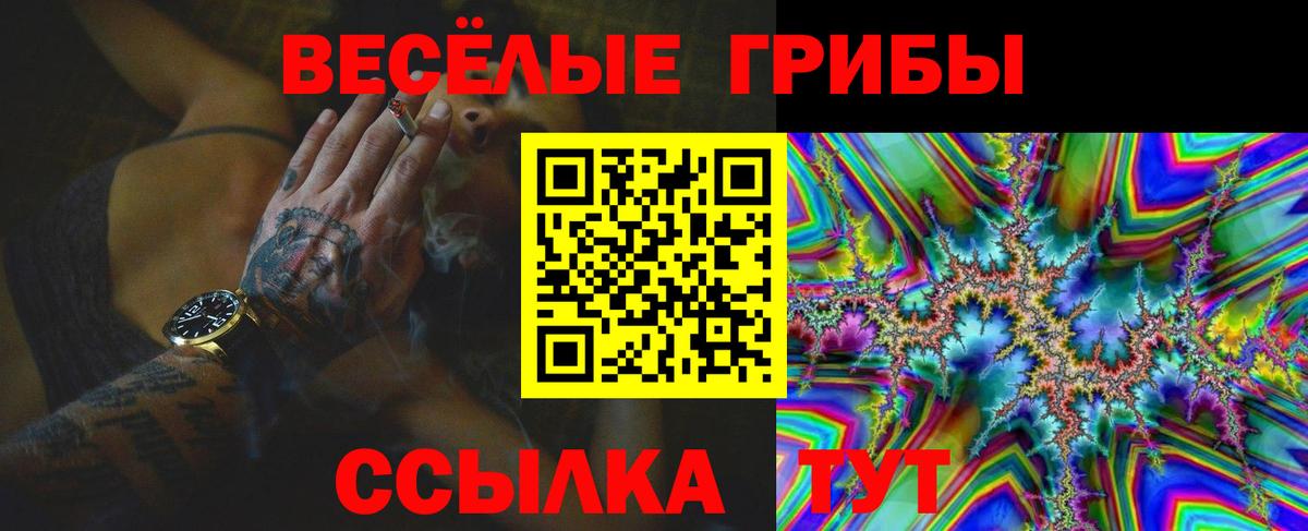 Псилоцибиновые грибы GOLDEN TEACHER  Псилоцибиновые грибы мухоморы  Вход с VPN  Новошахтинск 